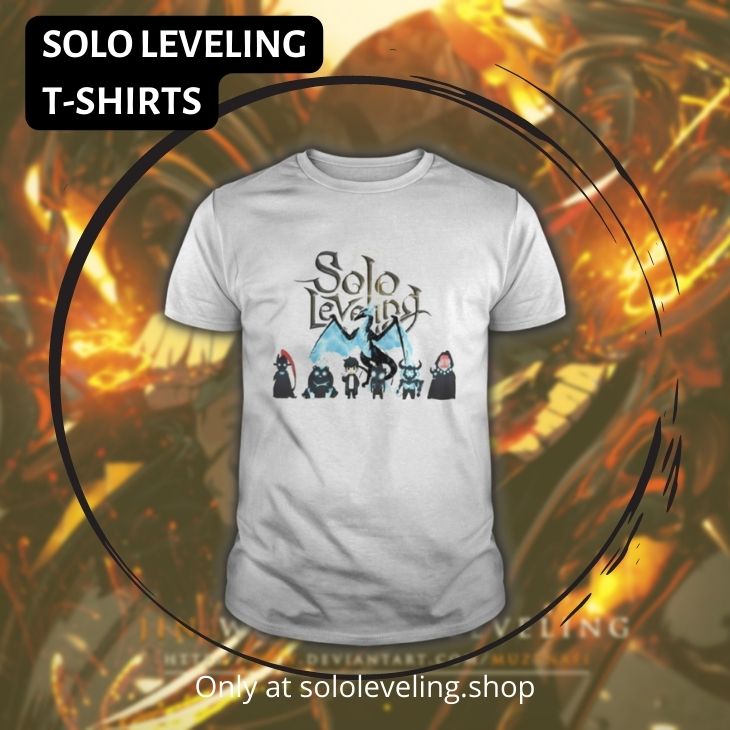 Solo Levelings T SHIRTS - Solo Leveling Merch